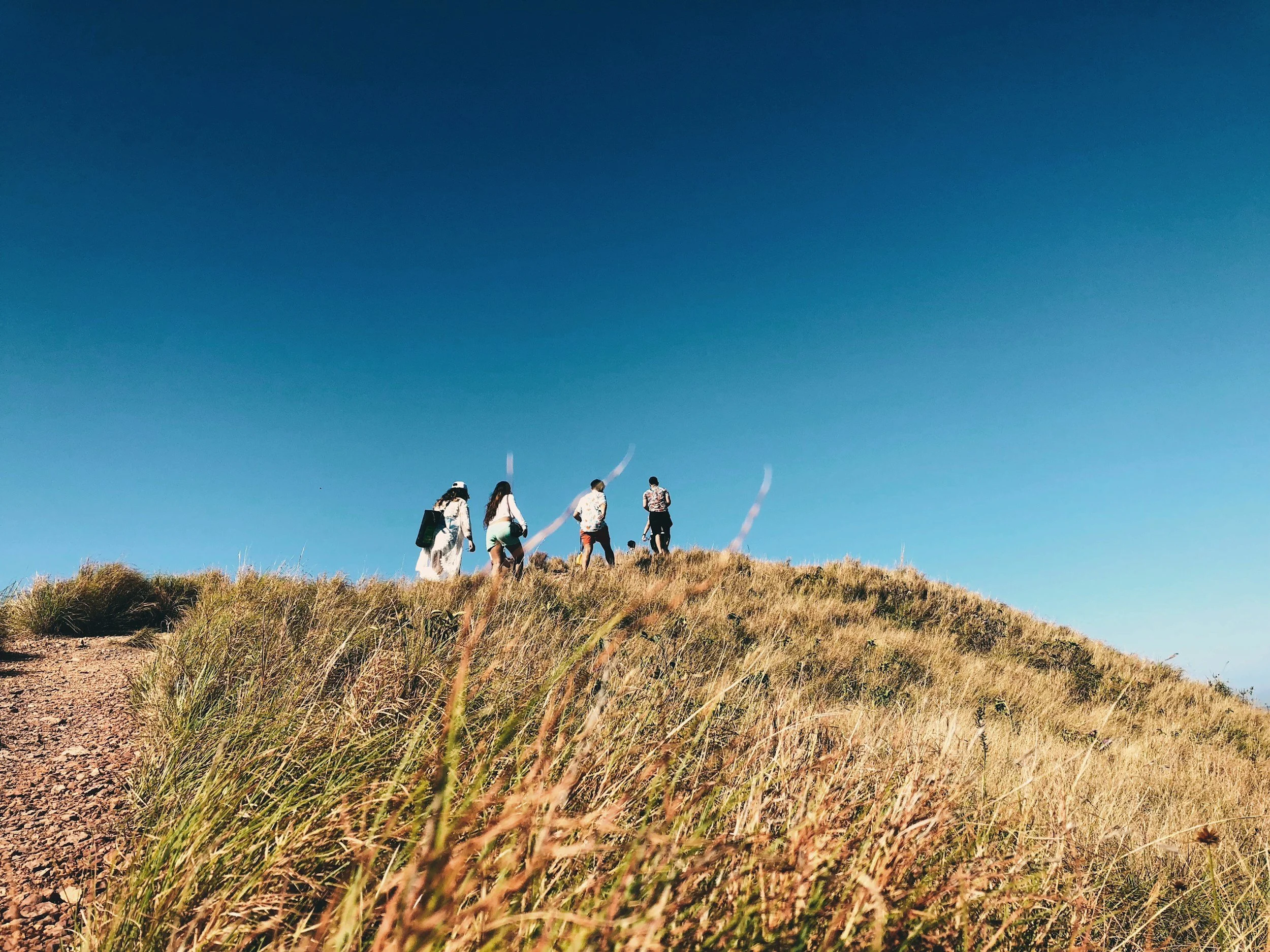 Wildlife Watch Walking Group