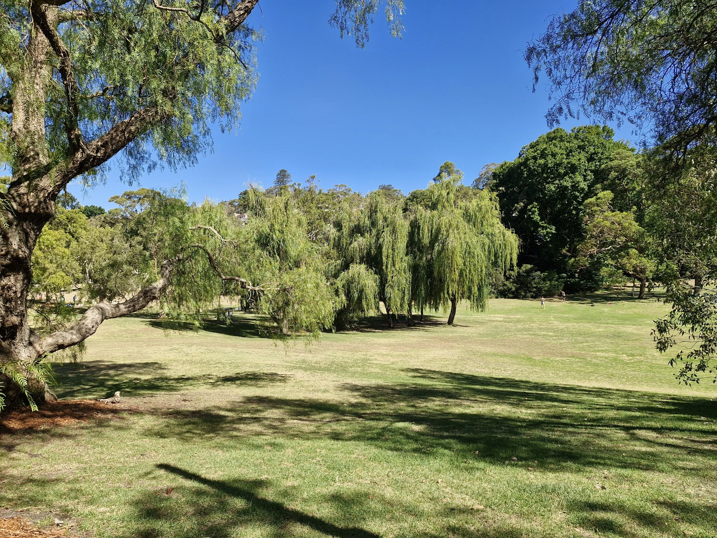 One of the best things to do in Chatswood is the railway to river walk
