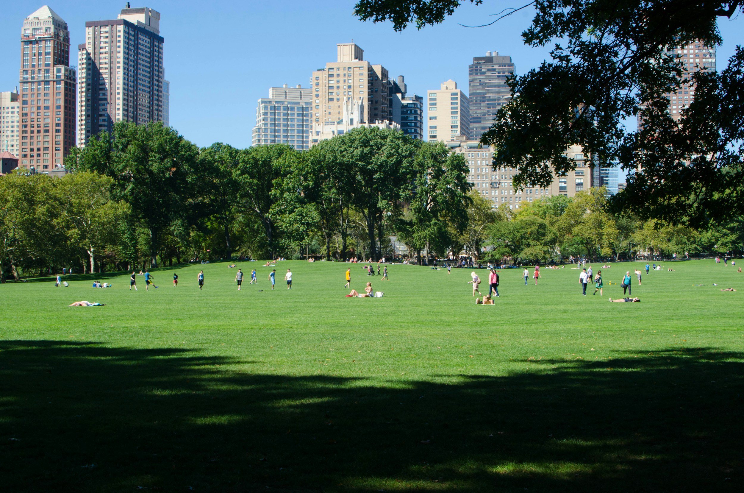 There's many great parks in Sydney's Chatswood
