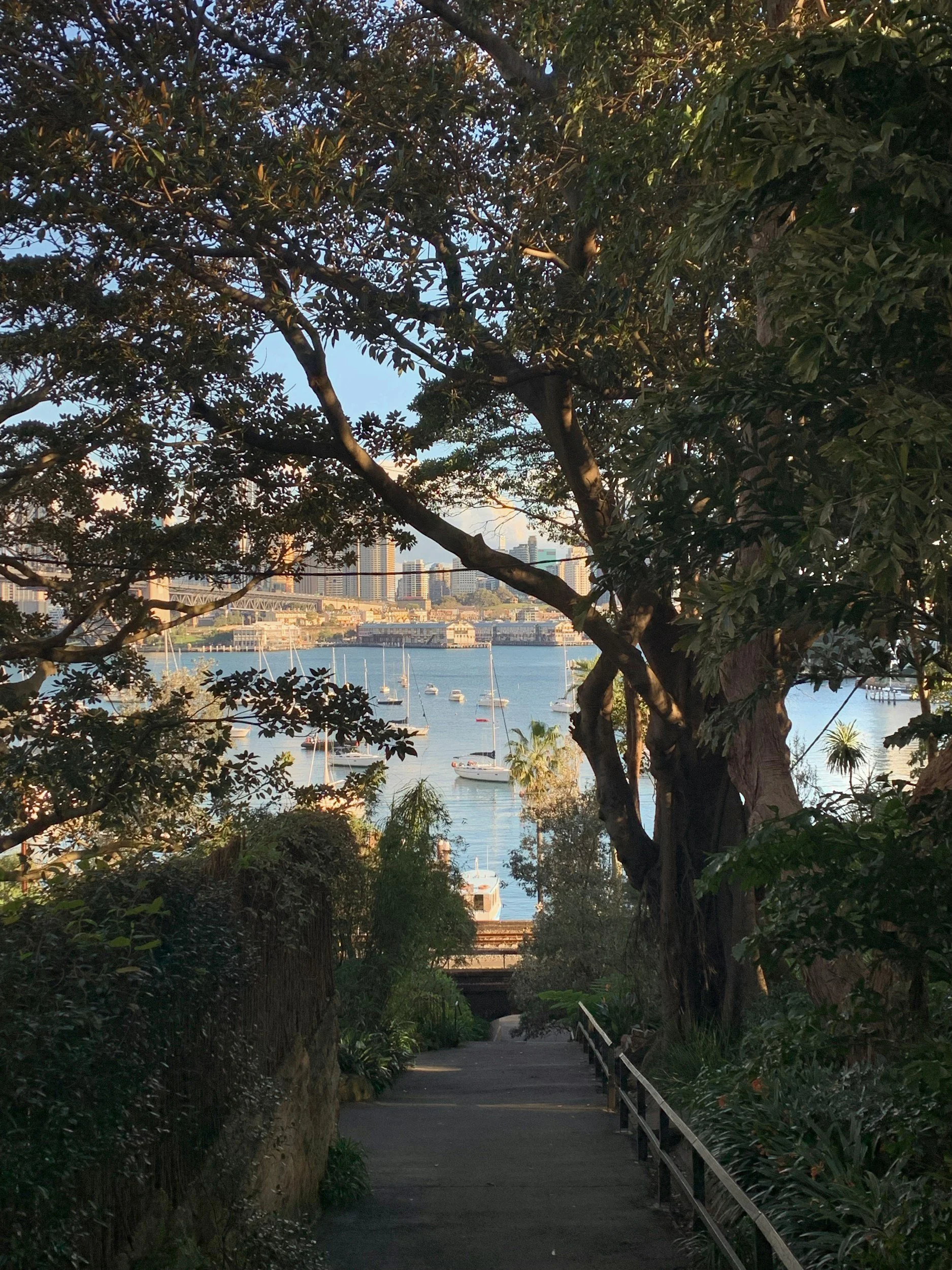 If you're looking for things to do this Father's Day, a walk in Lavender Bay Parklands is perfect