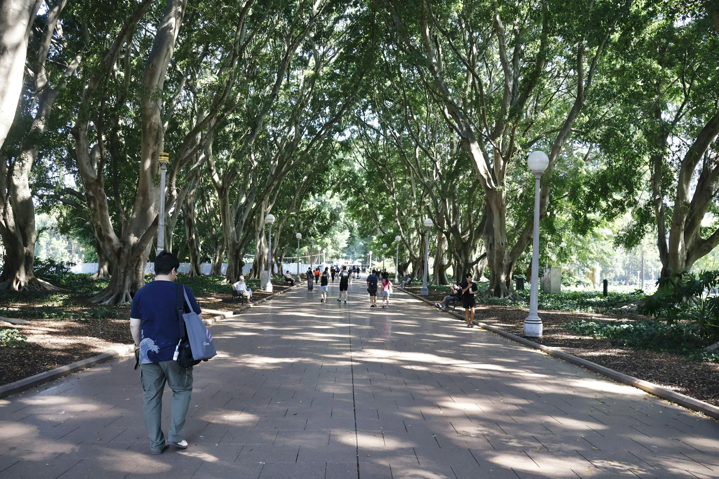 walking around crowsnest is one of the best things to do in crowsnest, sydney, nsw