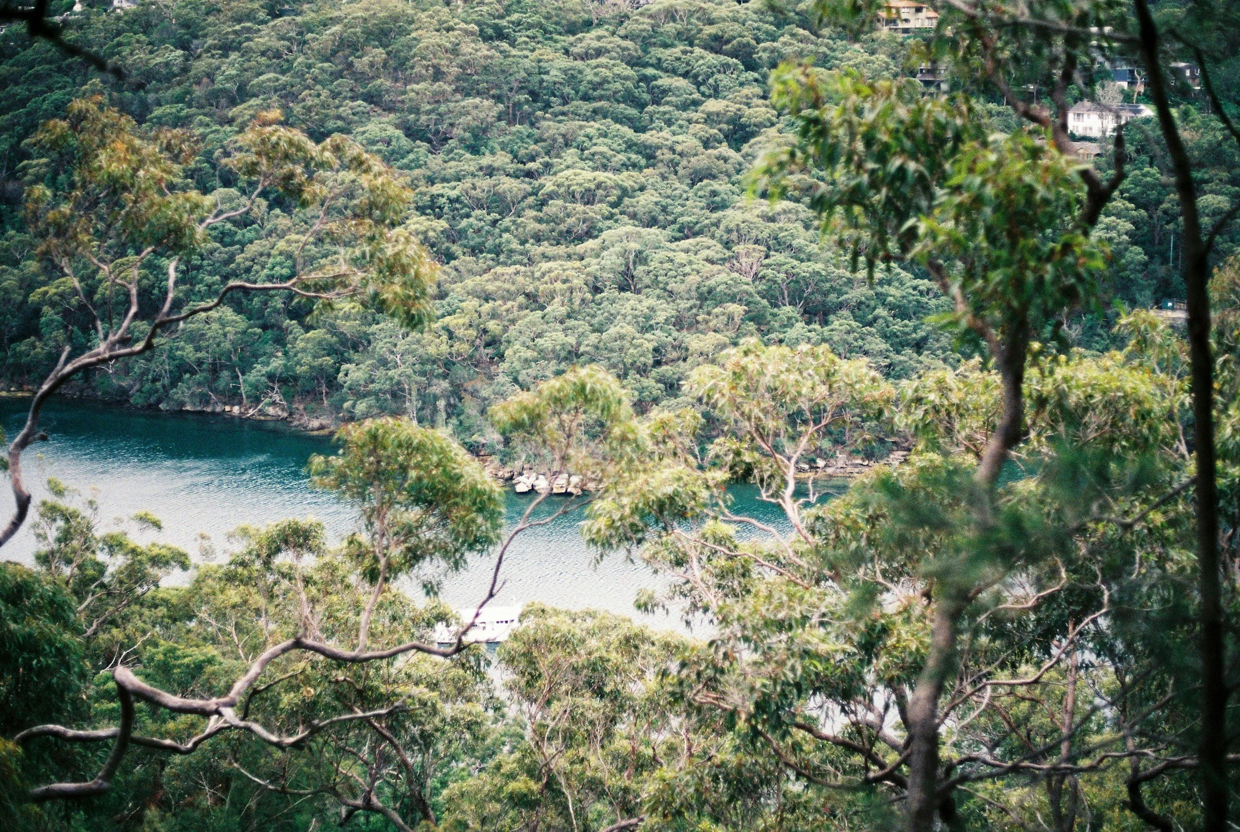 Photo of Berowra Valley National Park, which is one of the best things to do while in Hornsby, Sydney
