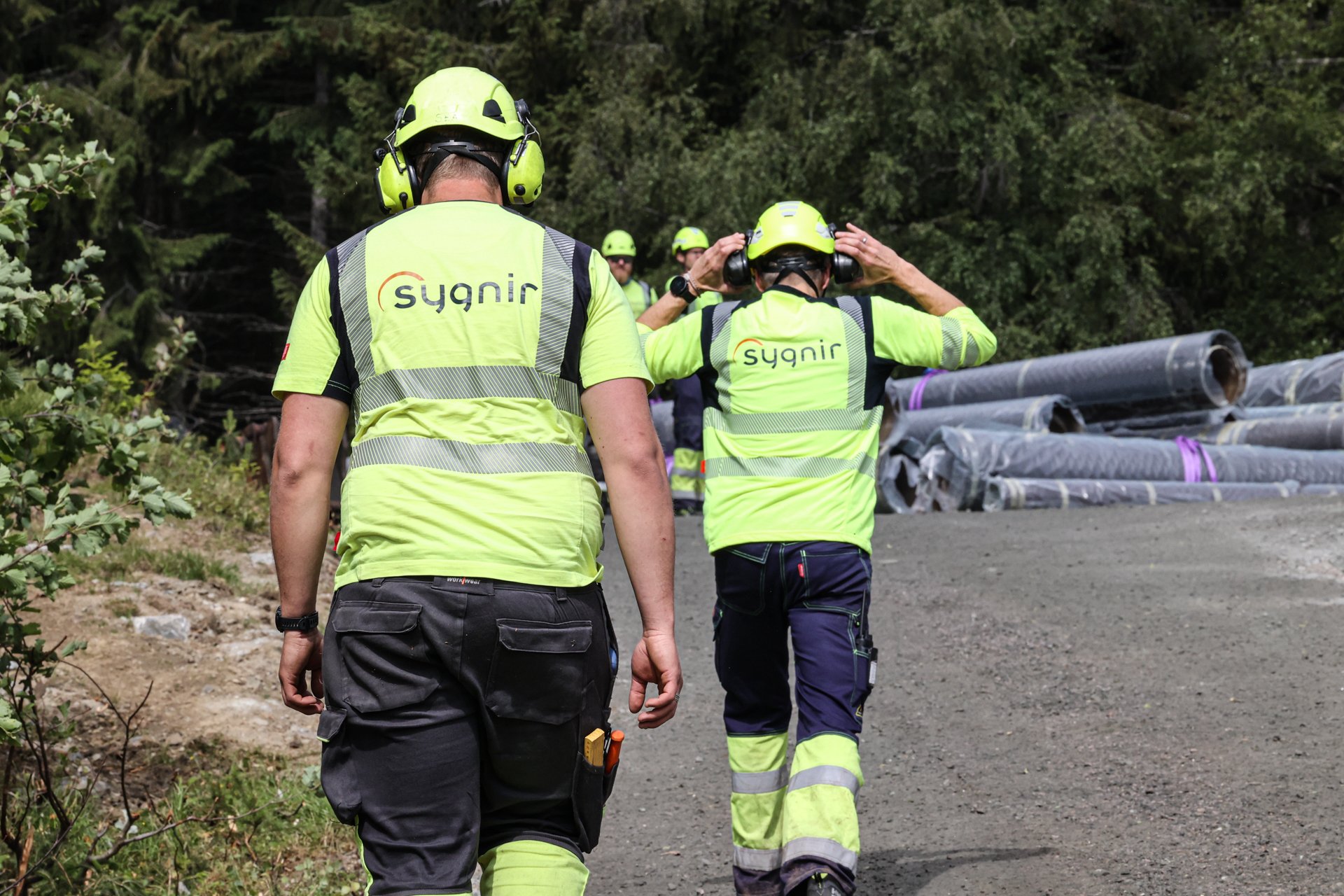 Sygnir montørar feios