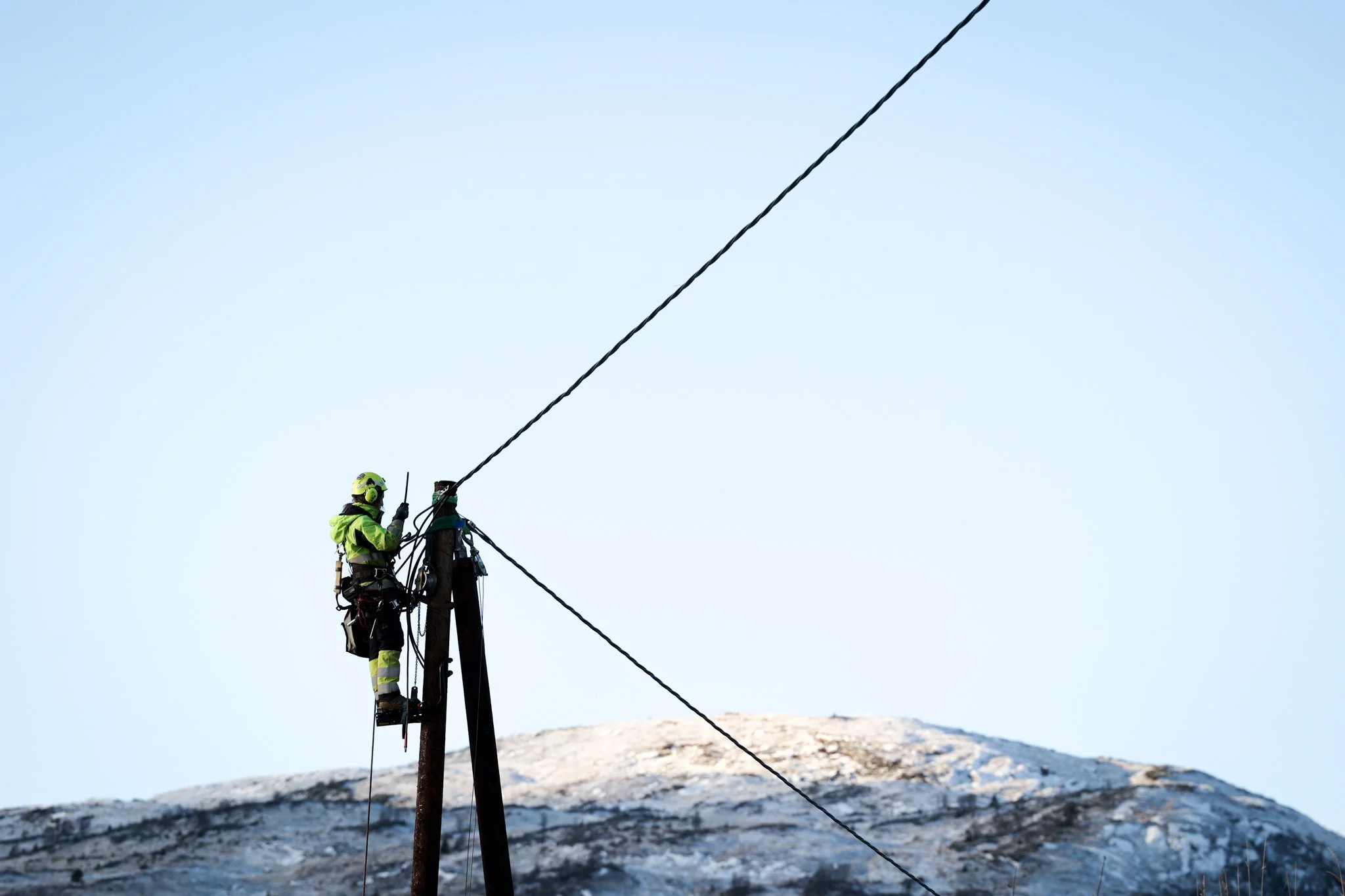 Smarte grep for nettleiga&nbsp;