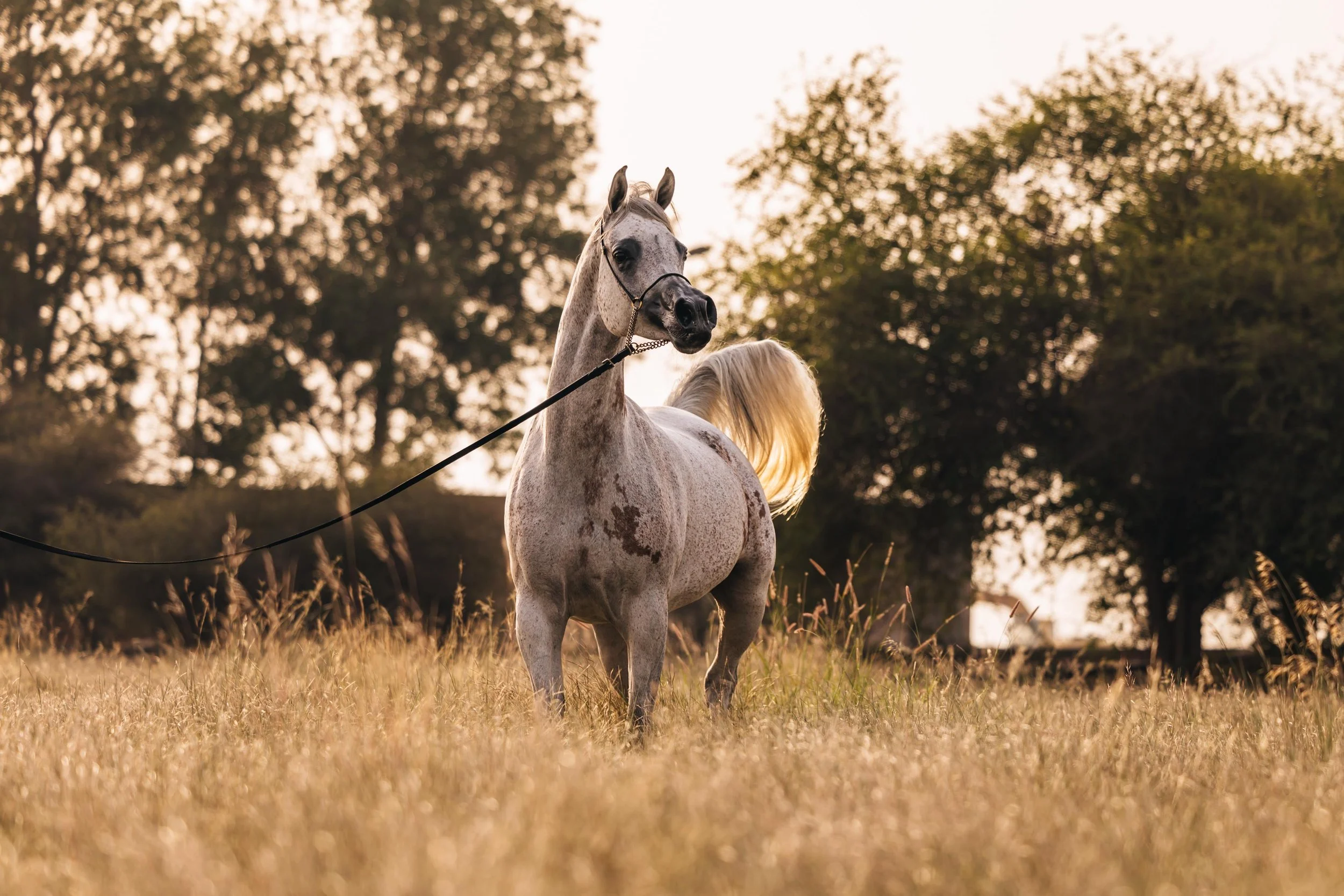 WhatsApp Image 2025-12-21 at 16.42.07 (1) 2.JPG