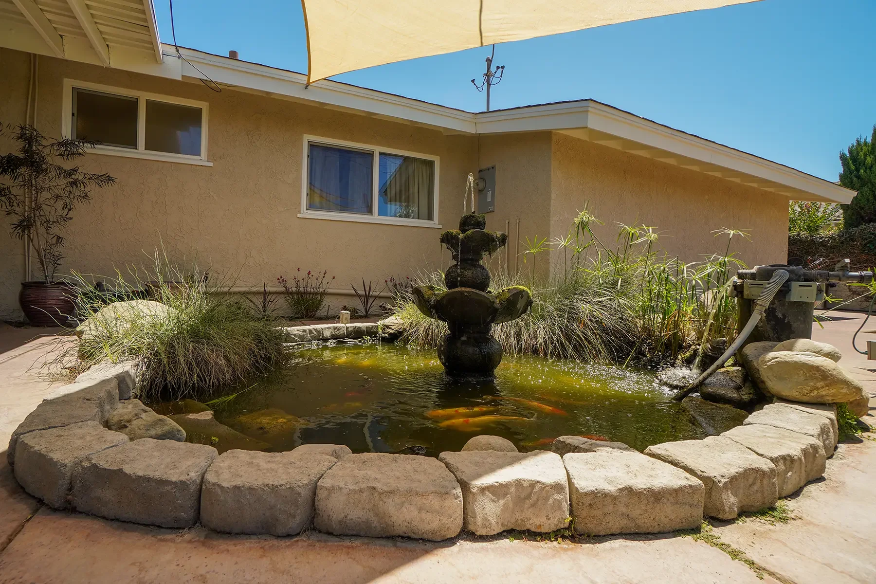 Backyard of 406 Lucada Street in Santa Paula, CA.