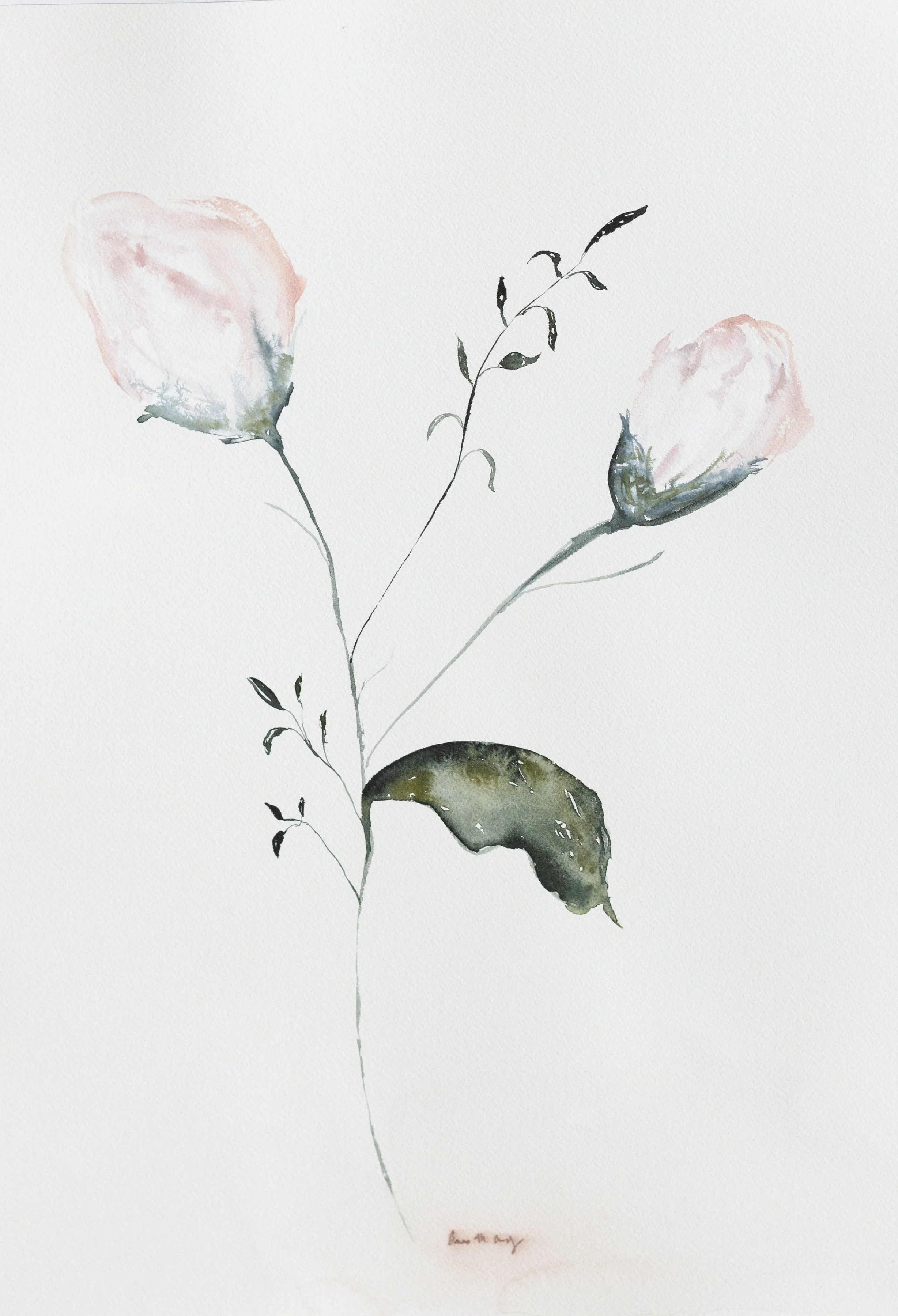 Budding 20x24.jpg