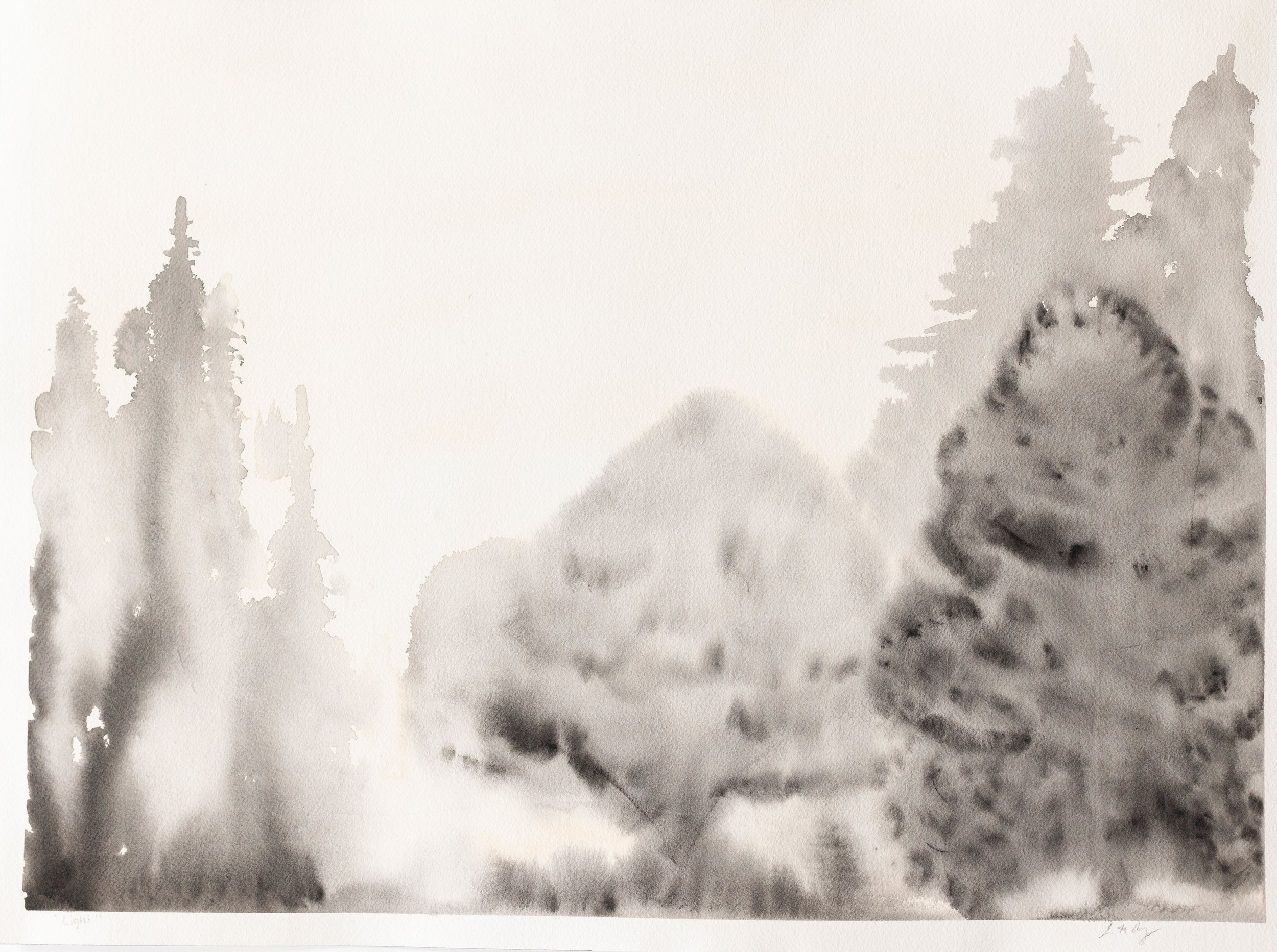 A grayscale watercolor painting of pine trees of varying sizes and shapes with a faint mountain in the background.