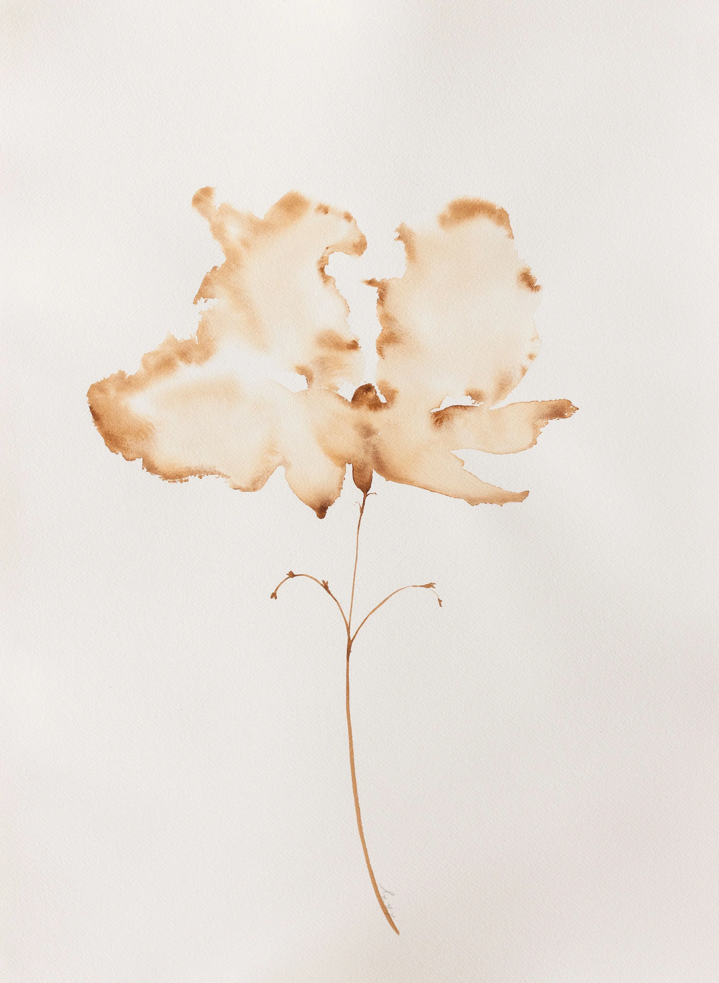 Flower 22x28.jpg
