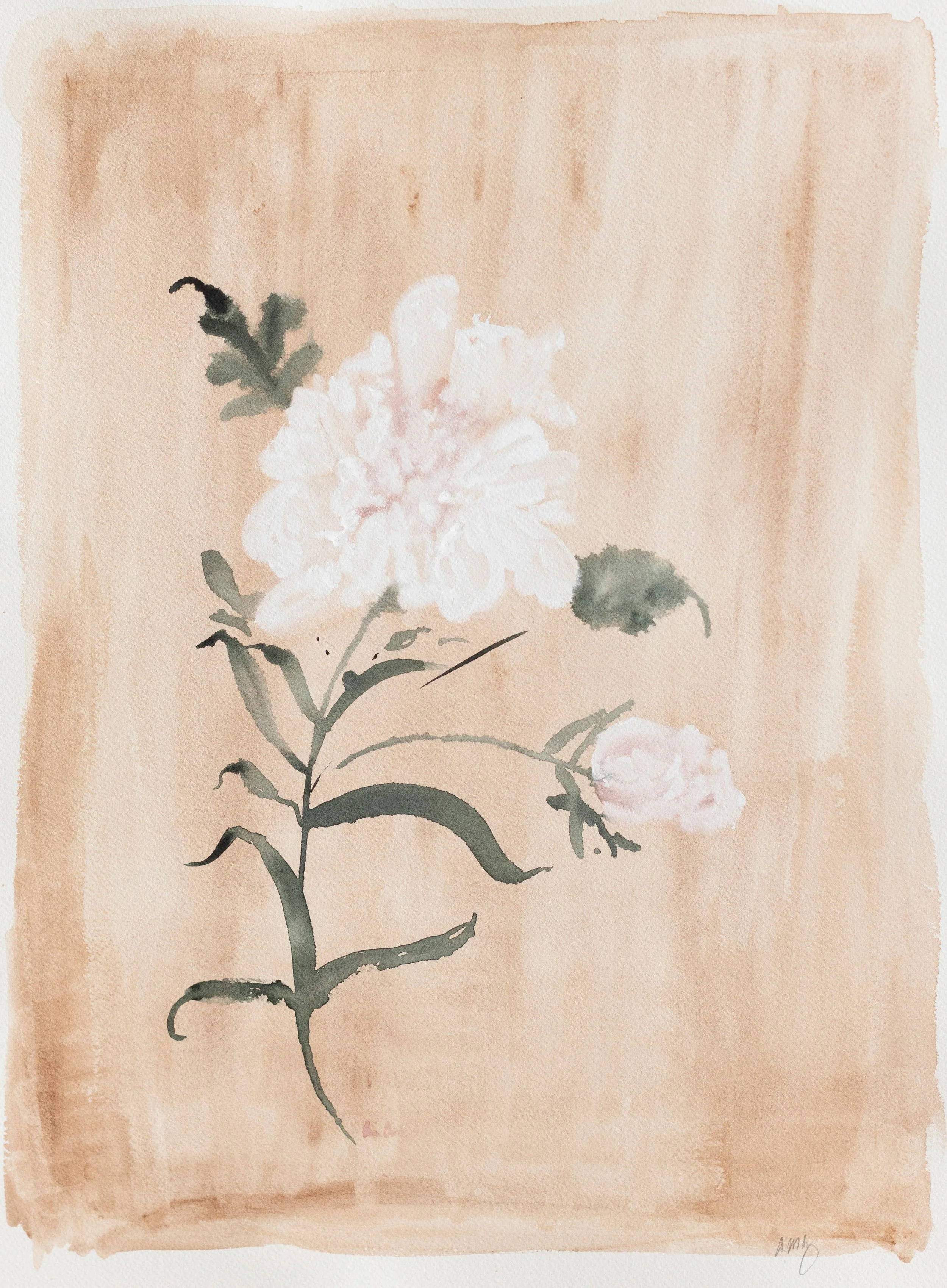 Watercolor painting of a light pink peony flower with green leaves on a beige background.