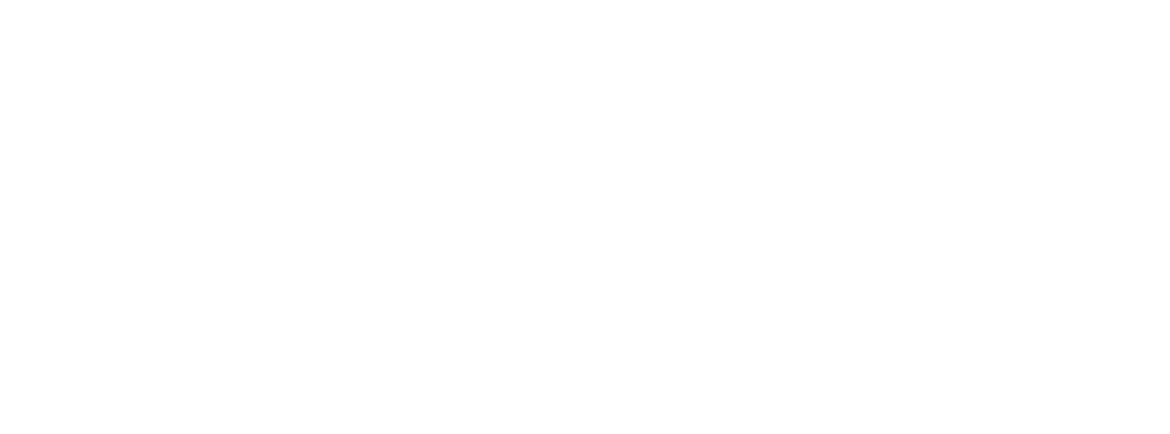 LA LUSTRERIE
