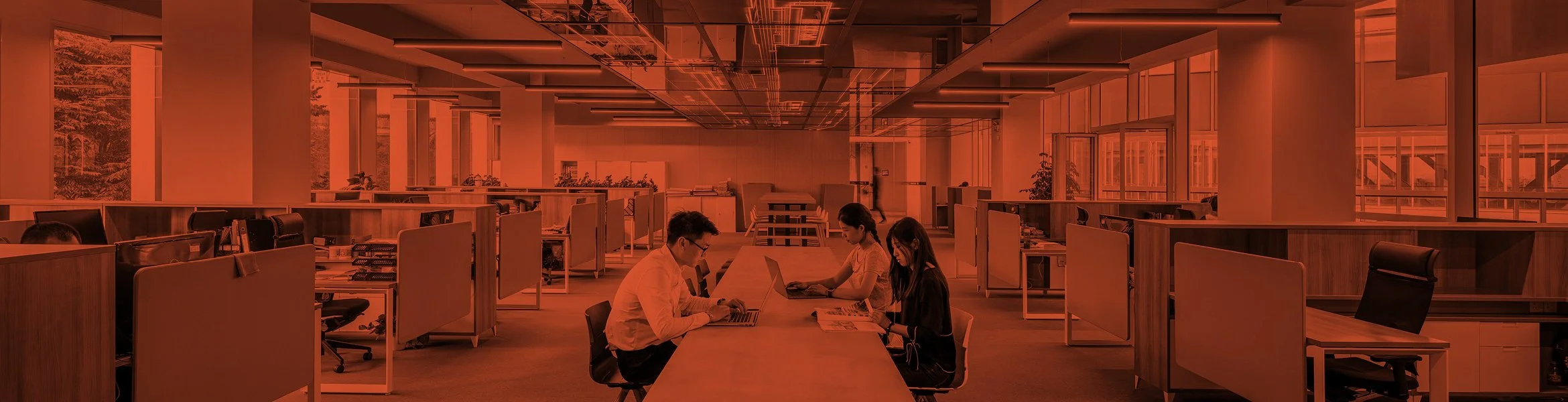 WAS, WENN AGILITÄT NICHT IM WIRKKREIS DER MANAGER LIEGT?