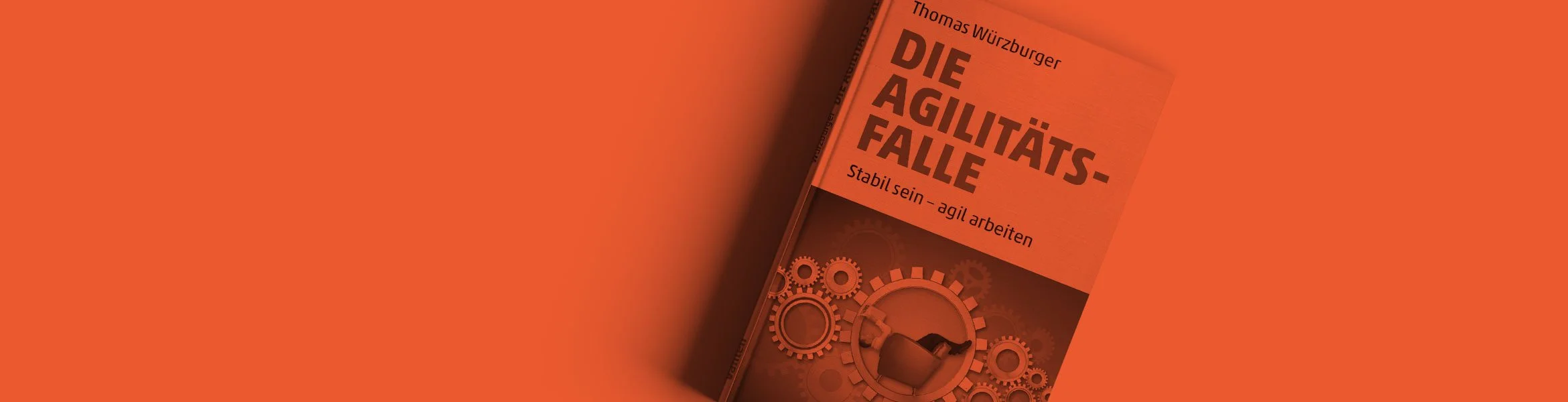 DIE AGILITÄTSFALLE – Das Buch. Jetzt verfügbar!