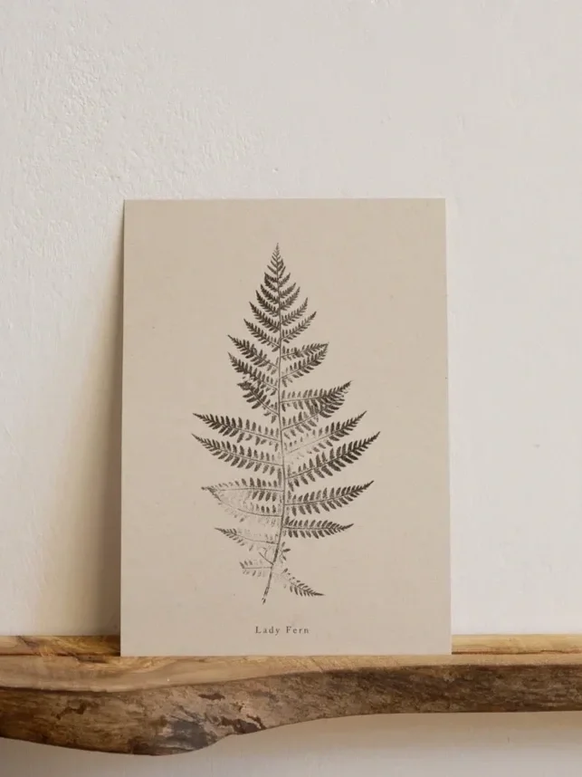A4 BOTANICAL FERN PRINT