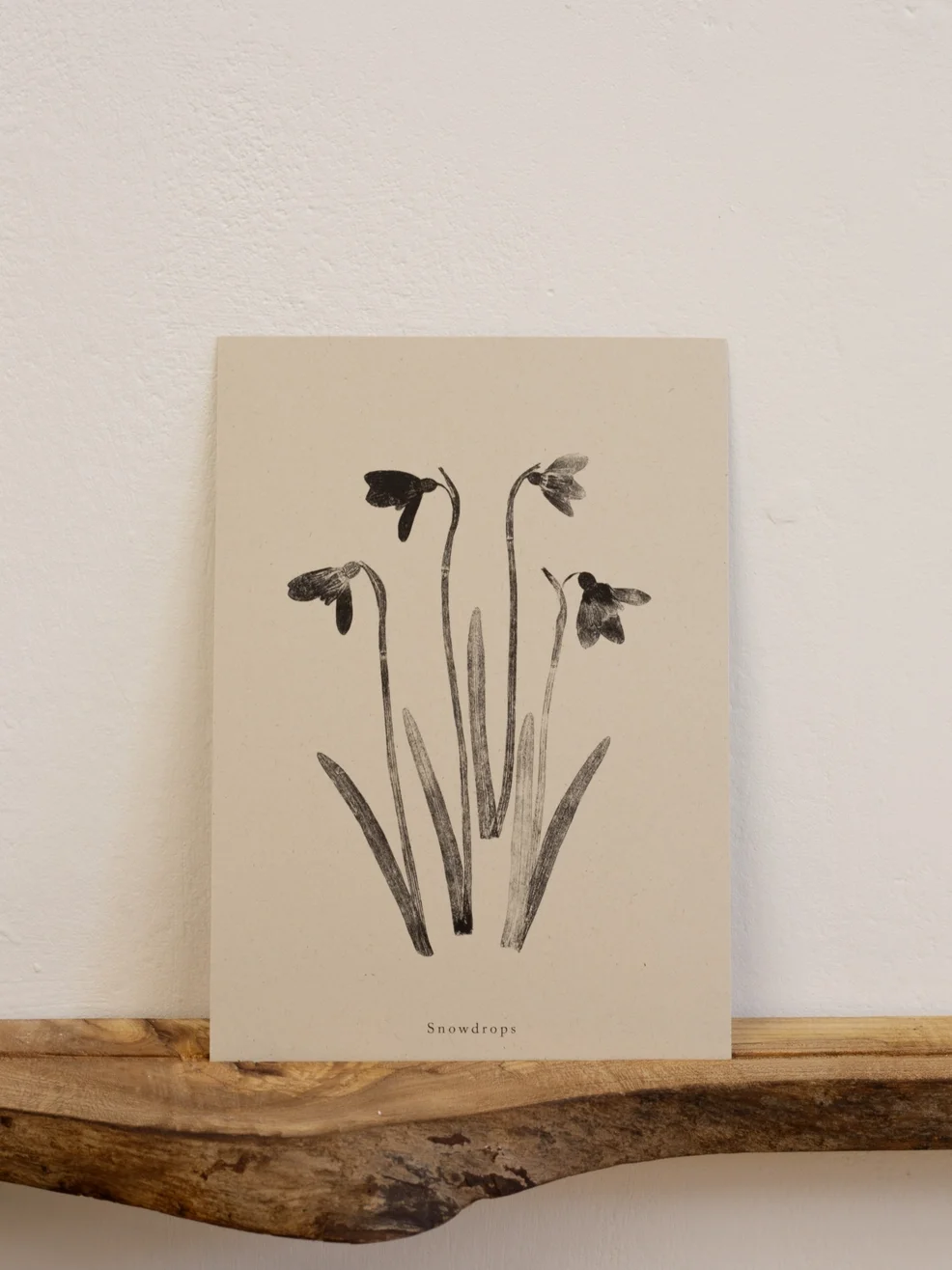 A4 BOTANICAL SNOWDROP PRINT