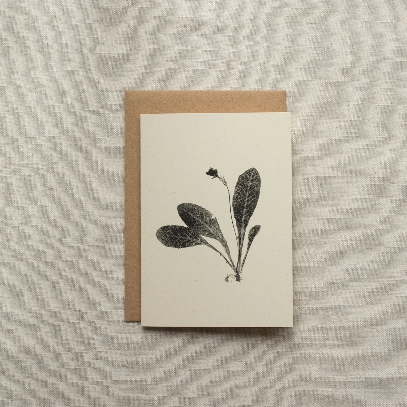 4e0b55f2e358e3c9bdf199d0aab163125ebd94557872b0d62942f6598d994f68 (1).webp