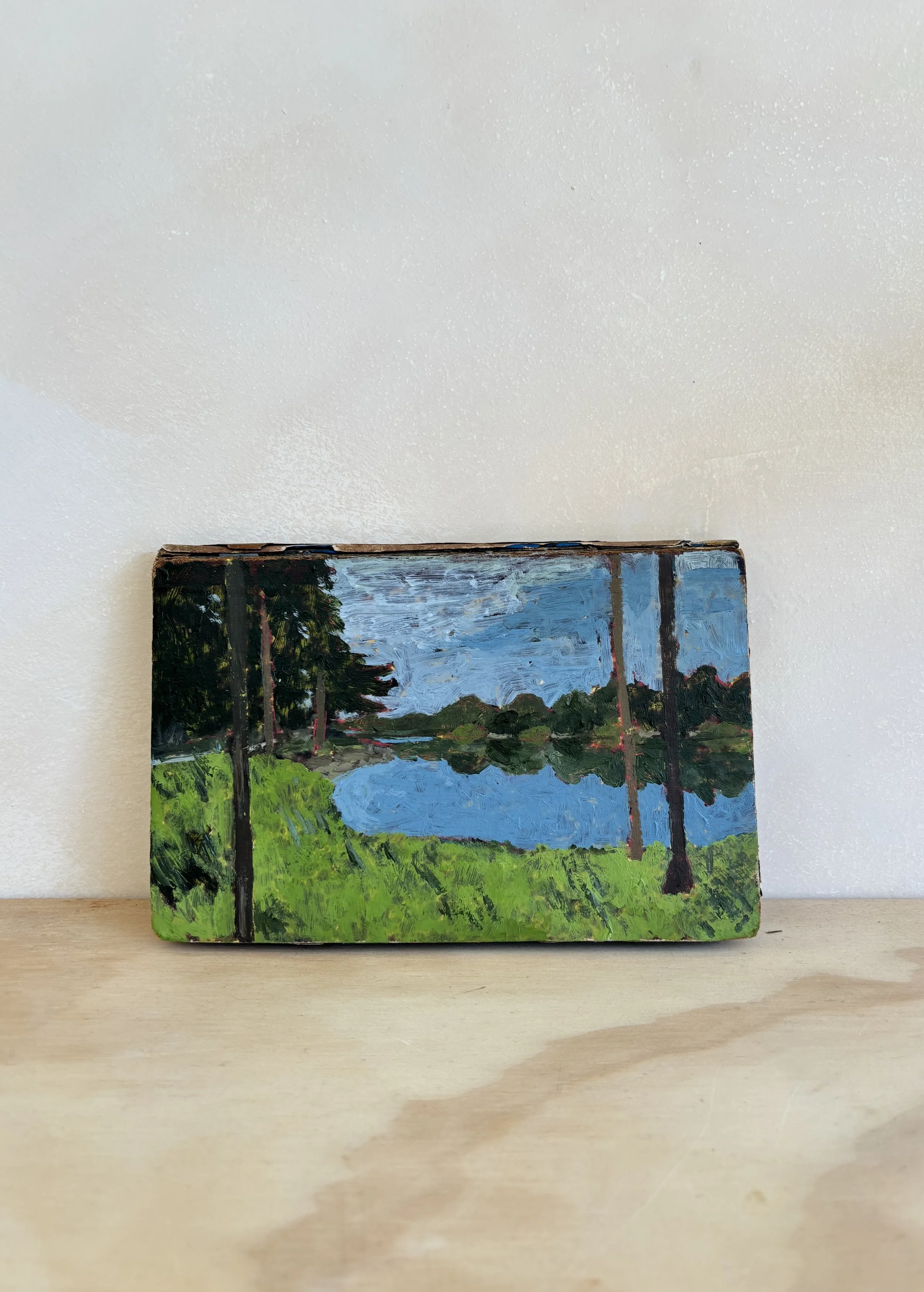 GAVIN SHEPHERDSON: 'CRAIGSIDE LAKE'