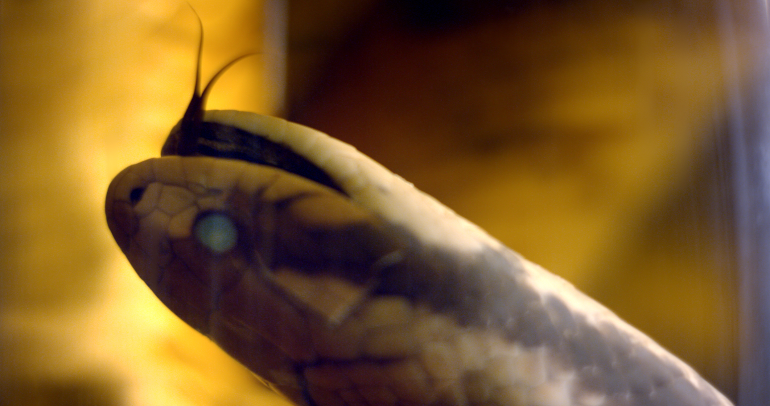 Screenshot 2026-01-05 at 12.17.22.png