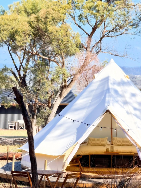 A white canvas tent set up outdoors with a cozy seating area inside, under a large tree with green leaves, in a sunny environment.