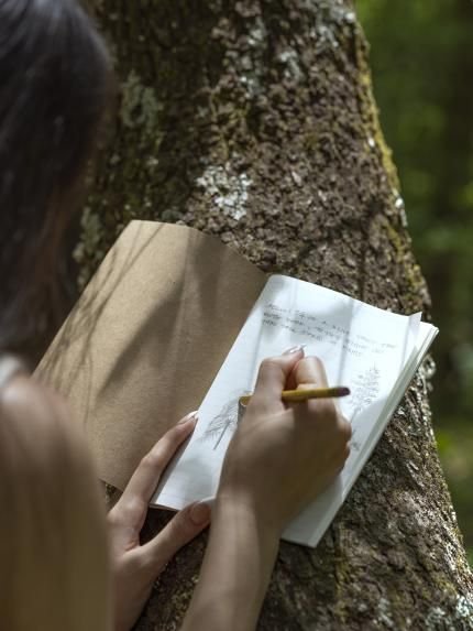Person writing in a notebook attached to a tree in a forest.