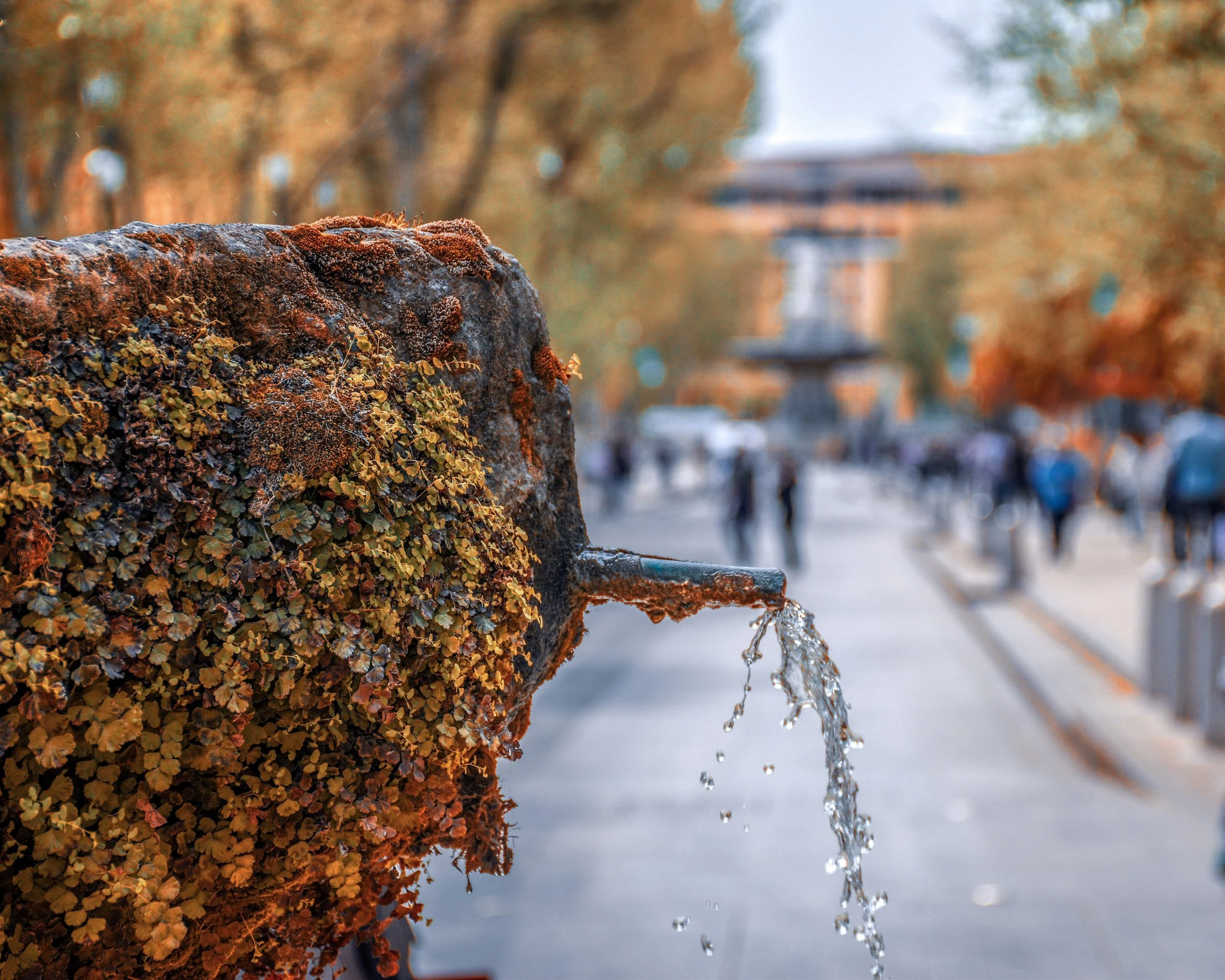 Fontaine d’Aix-en-Provence – Family Office L’Intendant de Famille.