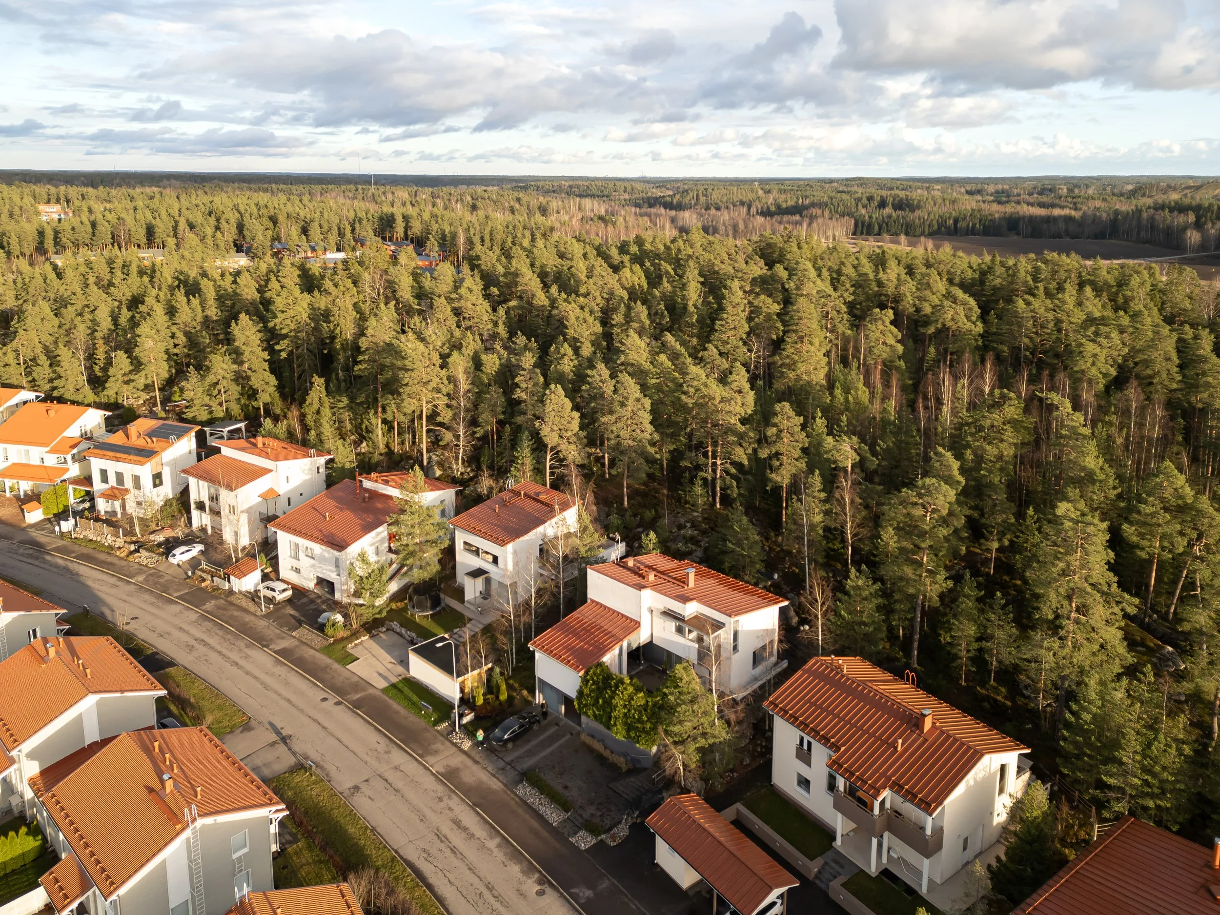 Kuvassa on kerrostaloja ja omakotitaloja kuivalla kadulla, taustalla tiheää metsää ja pilvinen taivas.