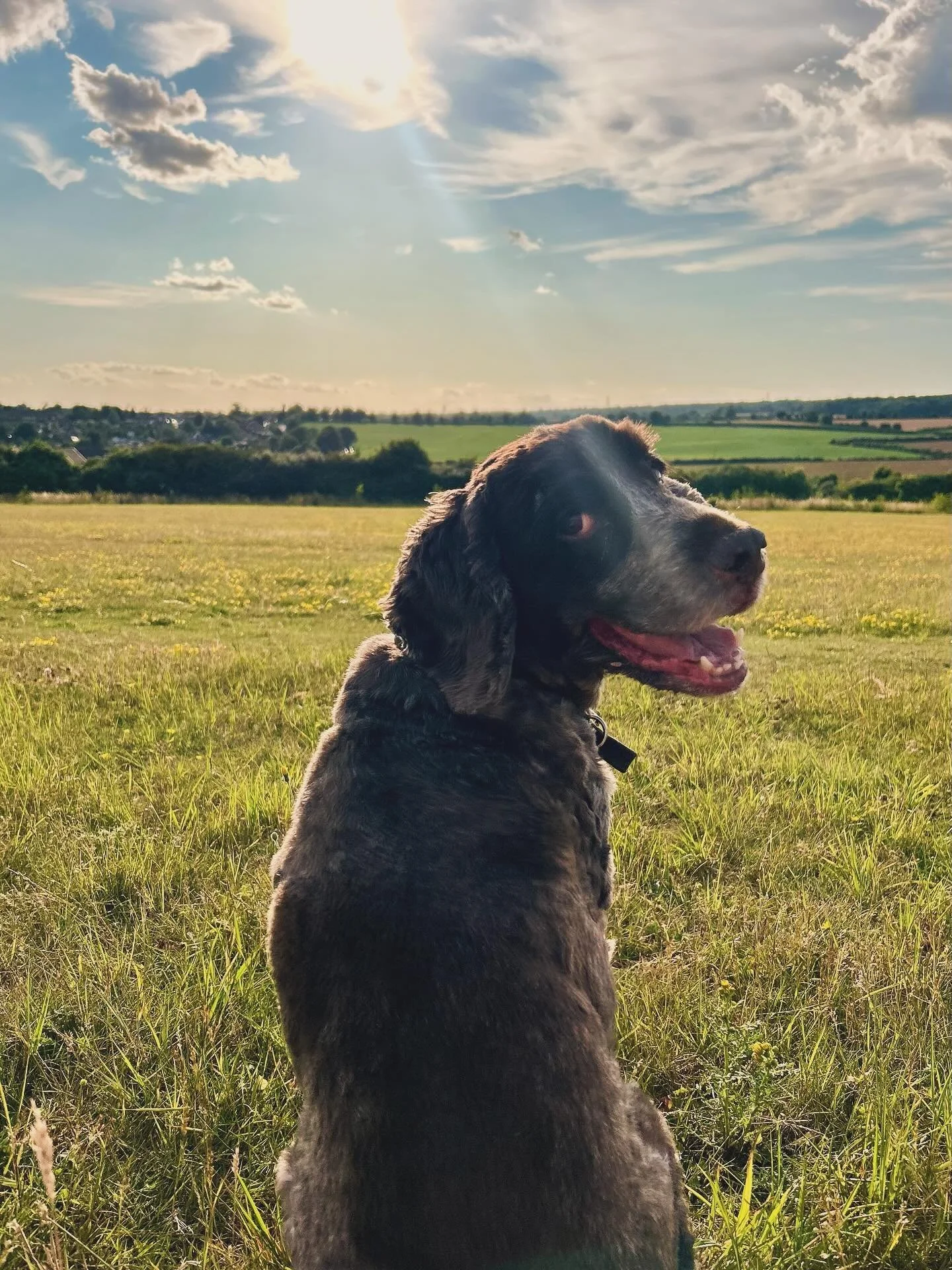 10 years with you 🤎🐾