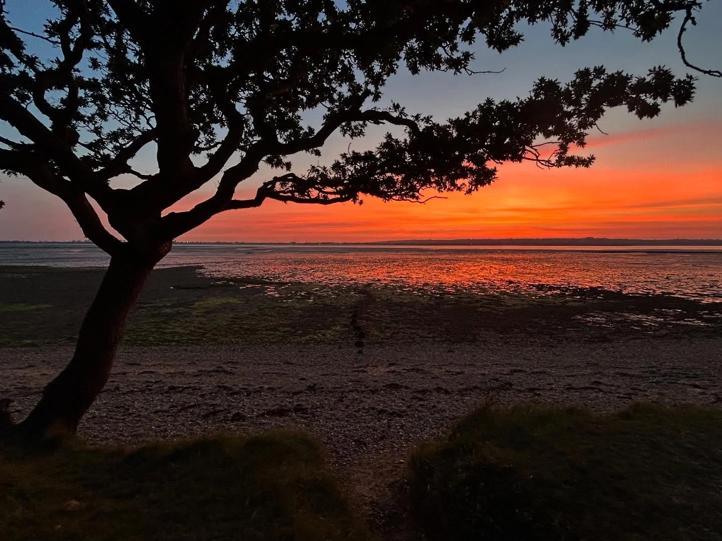 Summer evenings&hellip;nature&hellip;sunset&hellip; ❤️❤️❤️

#nofilter