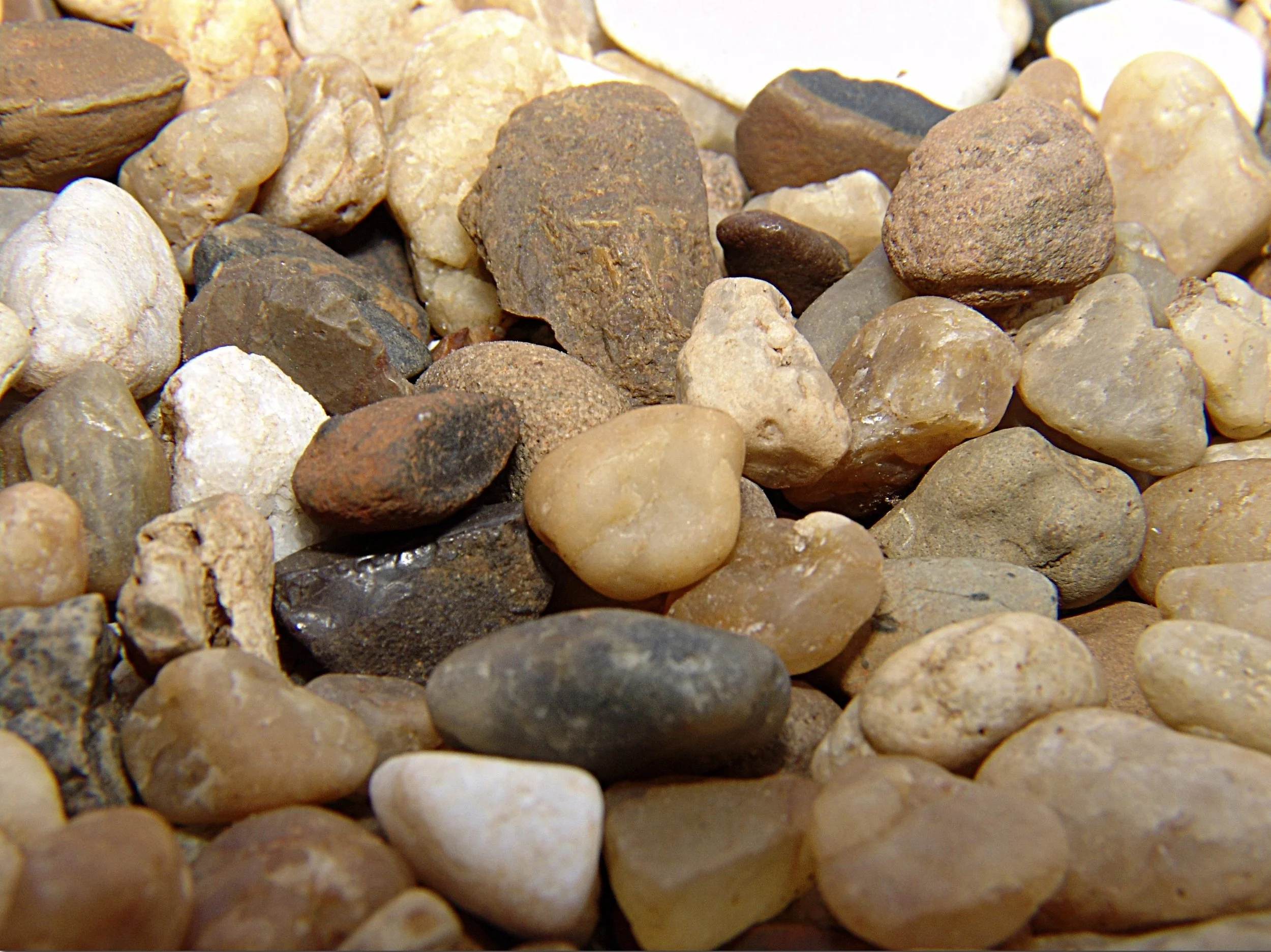 A PROPÓSITO DE IMAGENS (?)