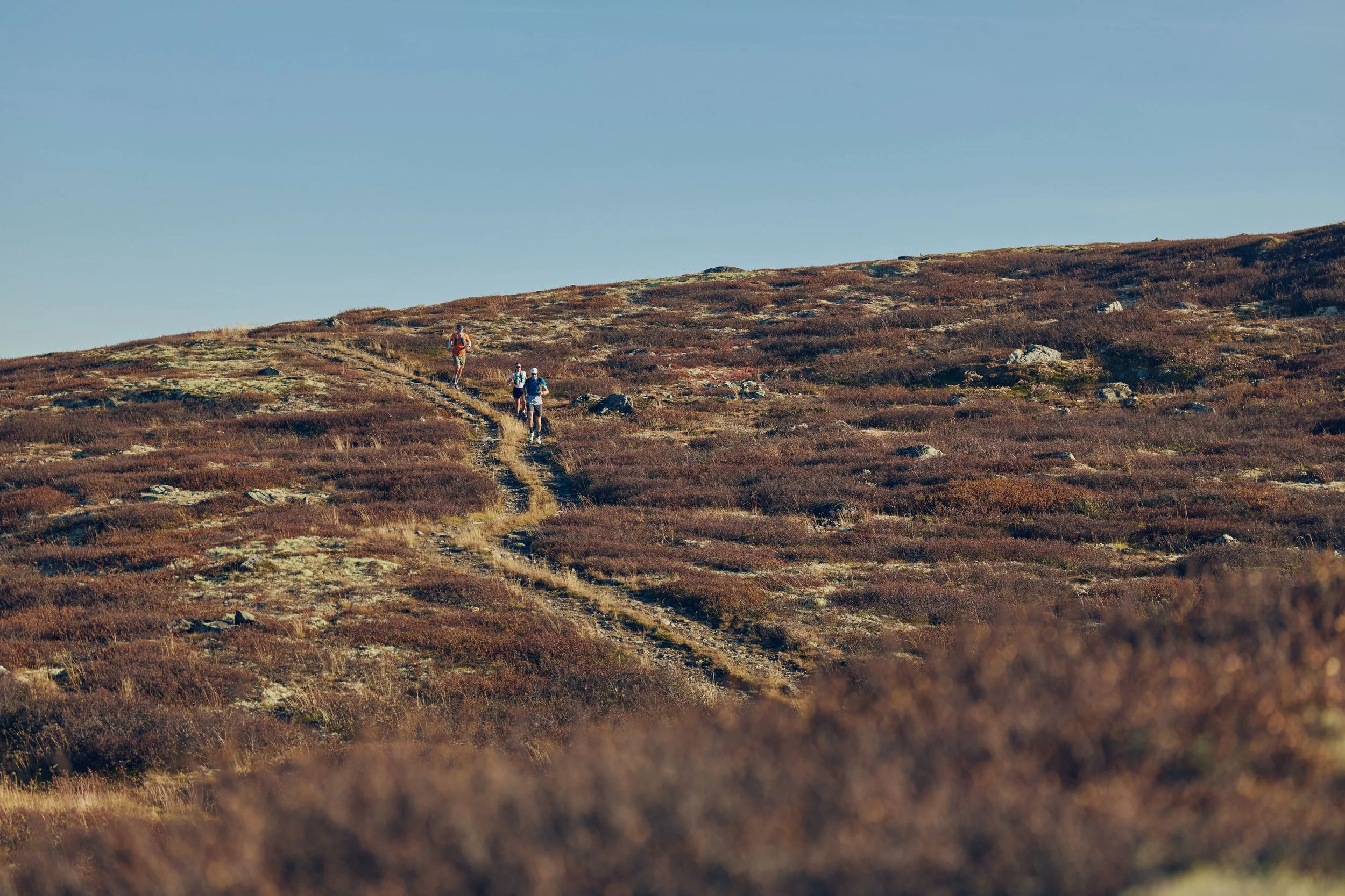 Four hikers walking along a narrow trail on a hillside covered with brown and green shrubs under a clear blue sky.