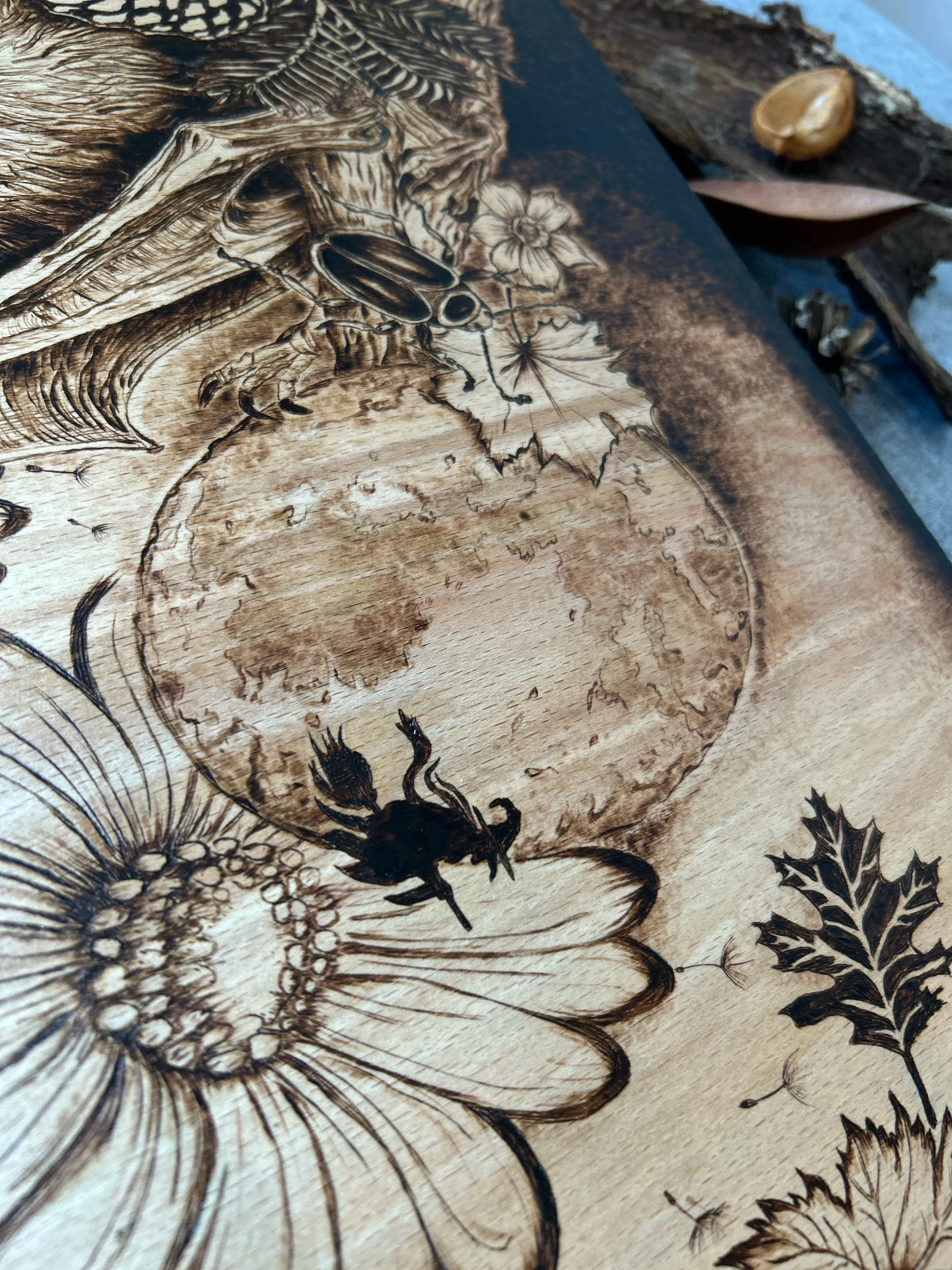 Large textured full moon as the central focus, a flying witch and delicate insect/plant-like spiky details near the moon's base, depicts whimsical nocturnal fantasy