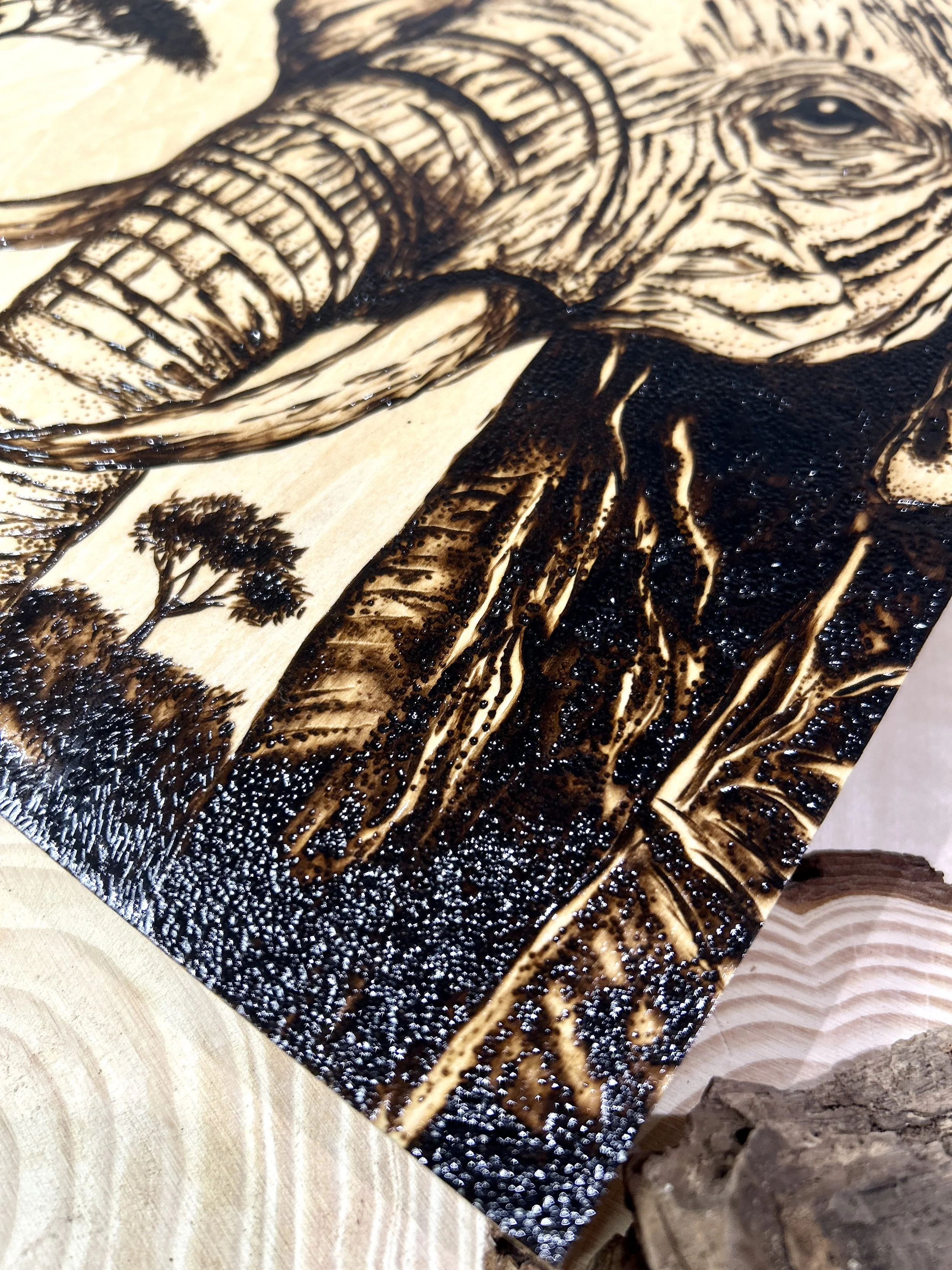 Collection of wood-burned pyrography artworks showcasing handcrafted fantasy art in unique, artisan, one-of-a-kind designs and decor, featuring detailed Savanna Reverie elephant scenes on natural wood