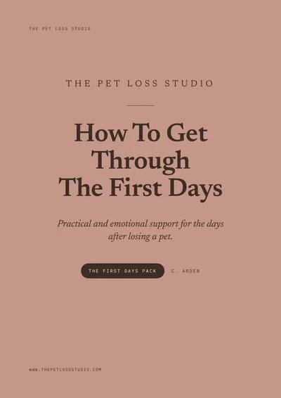 Cover of How To Get Through The First Days