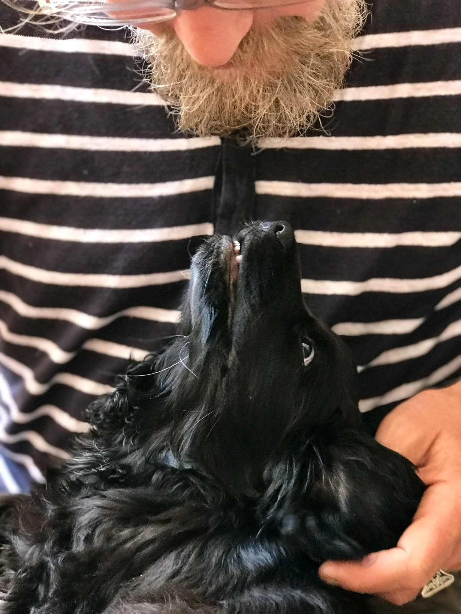 Where does all that love go after your pet dies