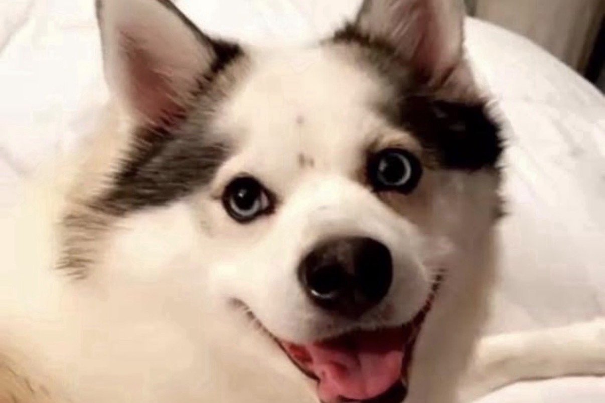 Nala