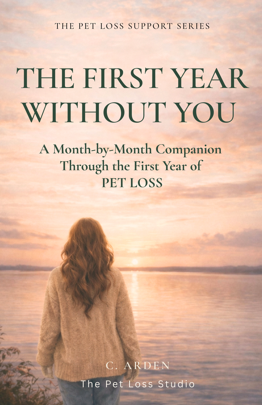 The First Year Without You book cover