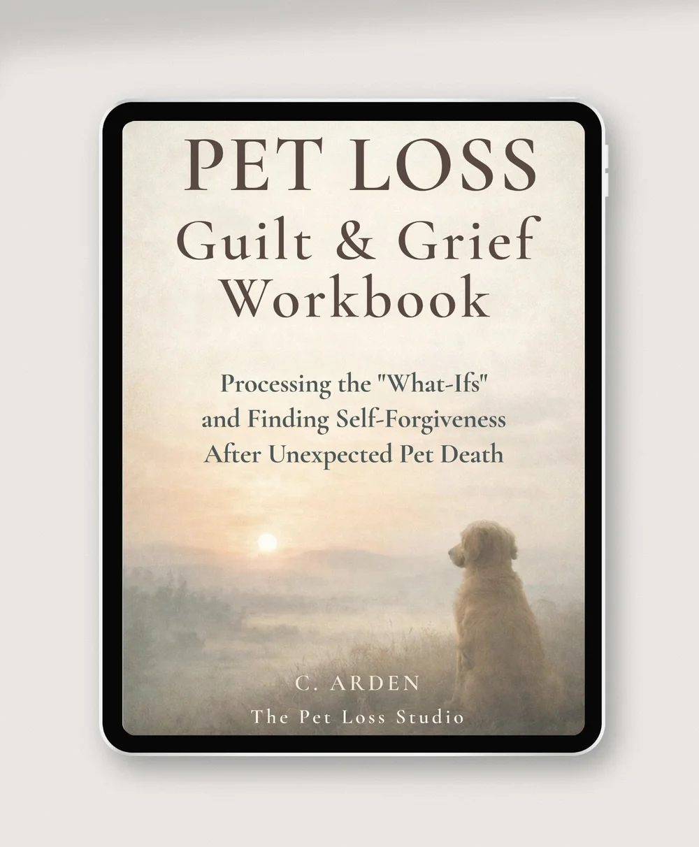 Guilt and Grief Workbook