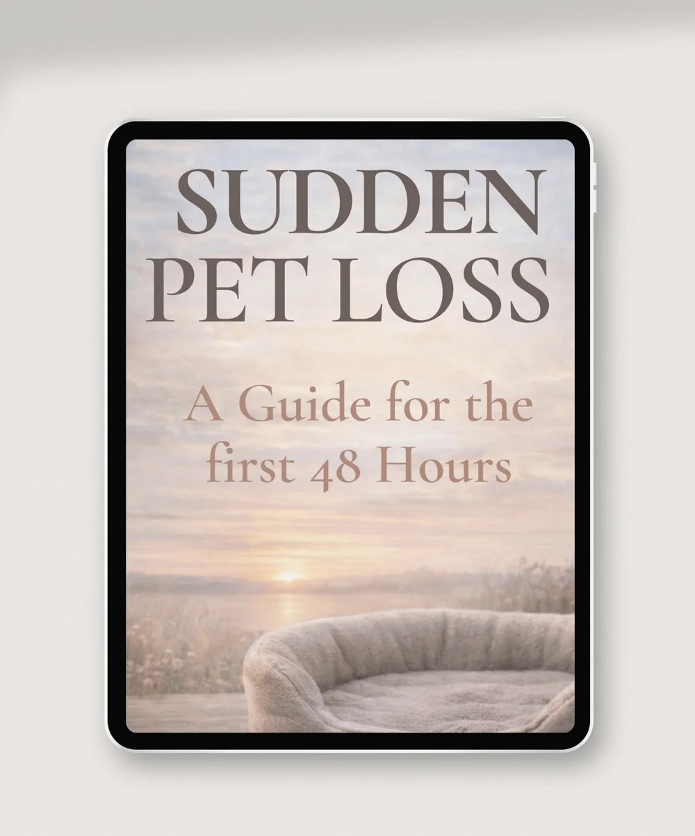 Sudden Pet Loss