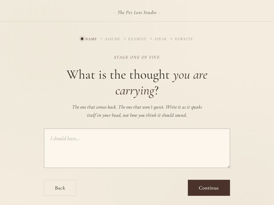Stage one of A Gentler Thought: What is the thought you are carrying?
