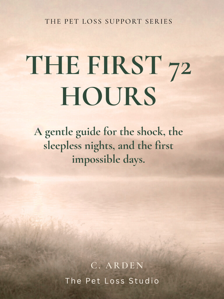 The First 72 Hours guide cover