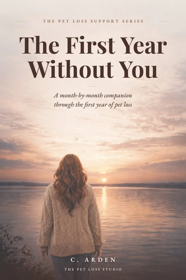 The First Year Without You by C. Arden