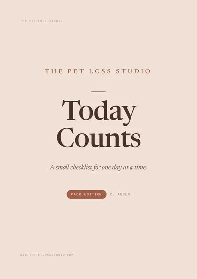 Cover of Today Counts