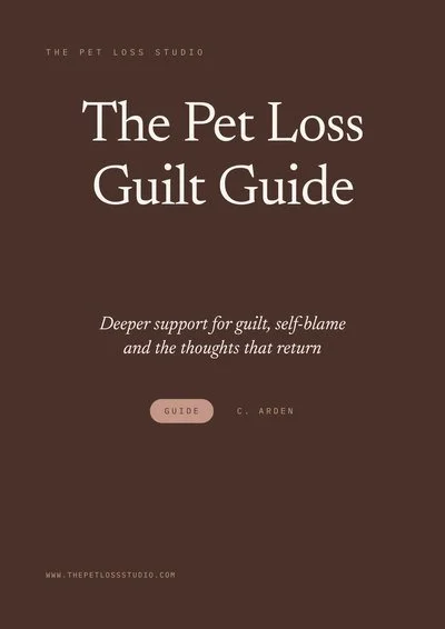 Cover of The Pet Loss Guilt Guide