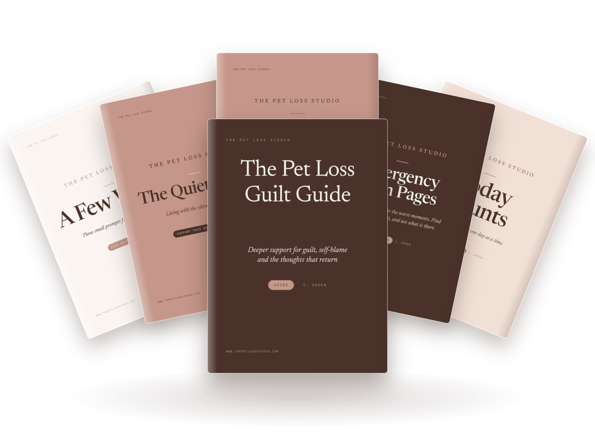 Covers from The First Days Support Pack, fanned out