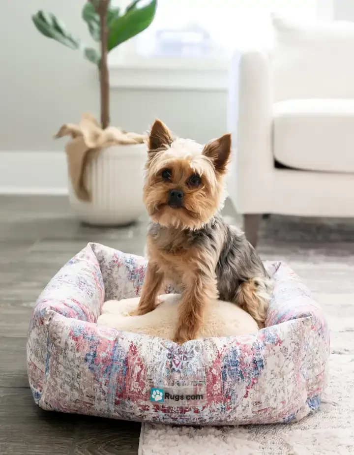 Small Pet Bed/ Blanket