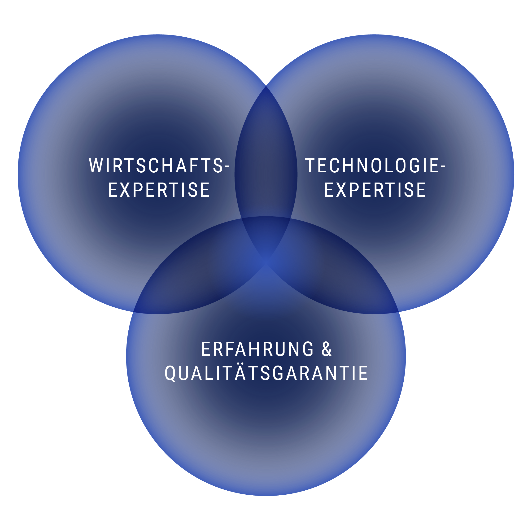 USP 'Wirtschaftsexpertise', 'Technologieexpertise', 'Erfahrung & Qualitätsgarantie'