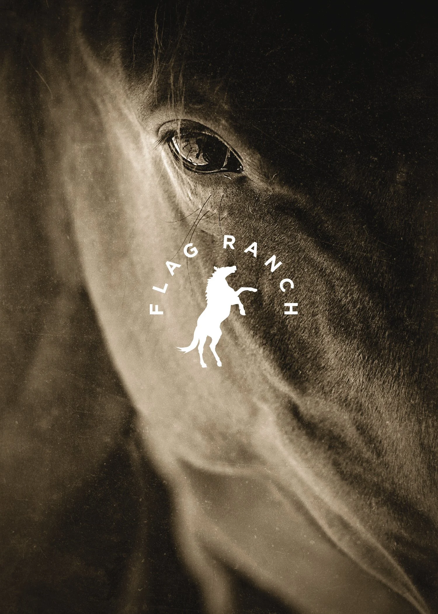 Flag Ranch Identity