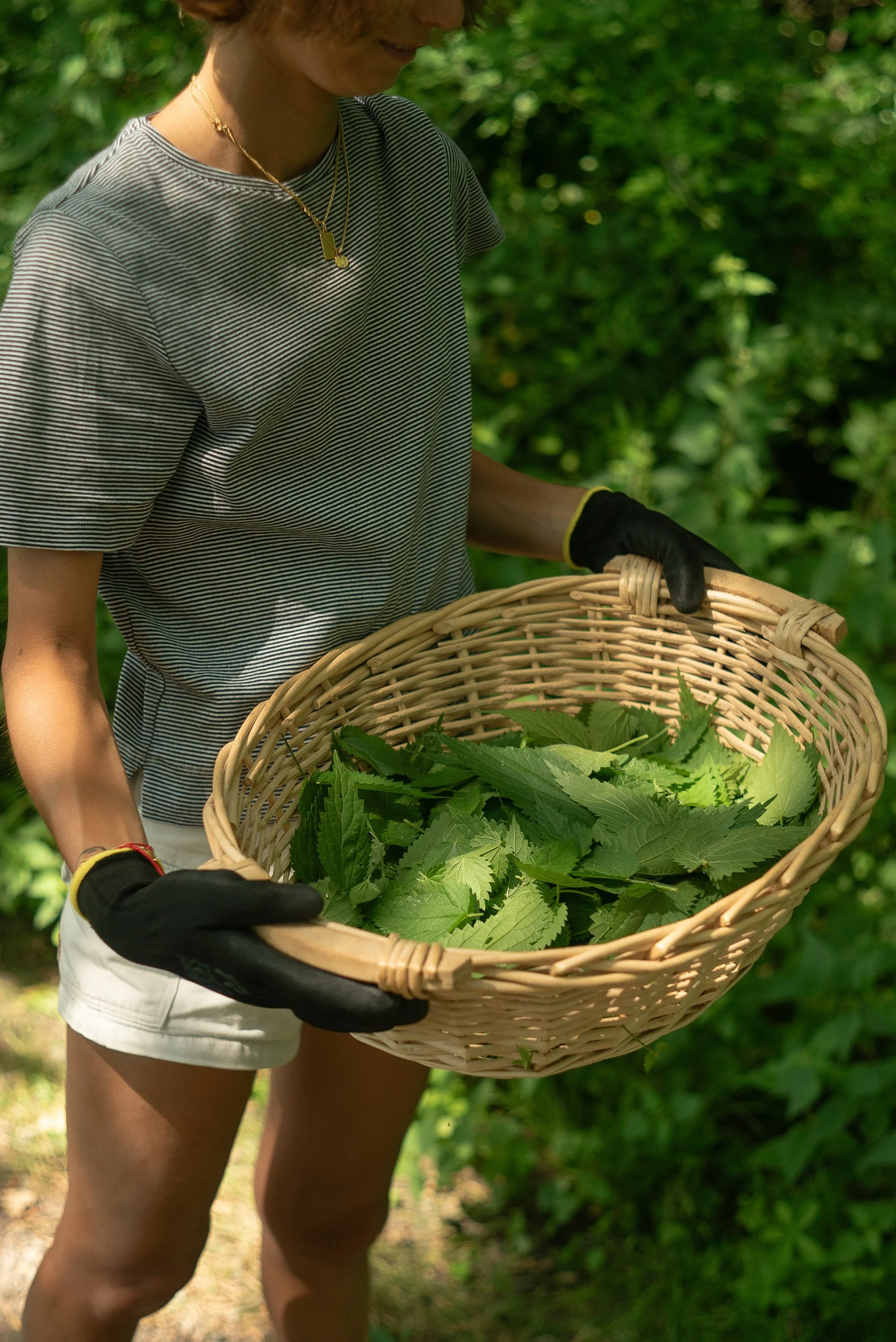 Landscape Cooking, foraged wild nettles