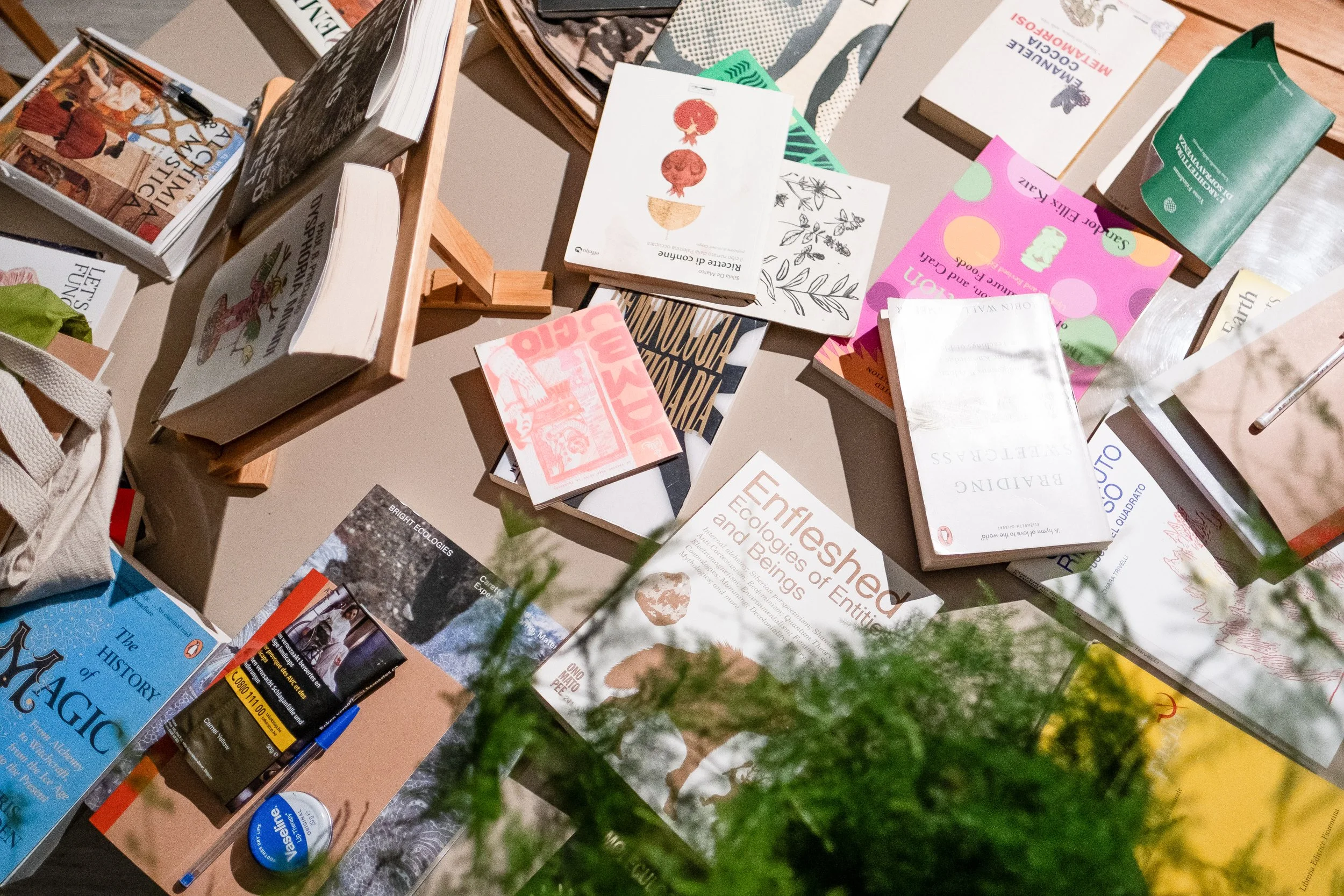 Alchemical Kitchen, temporary communal library