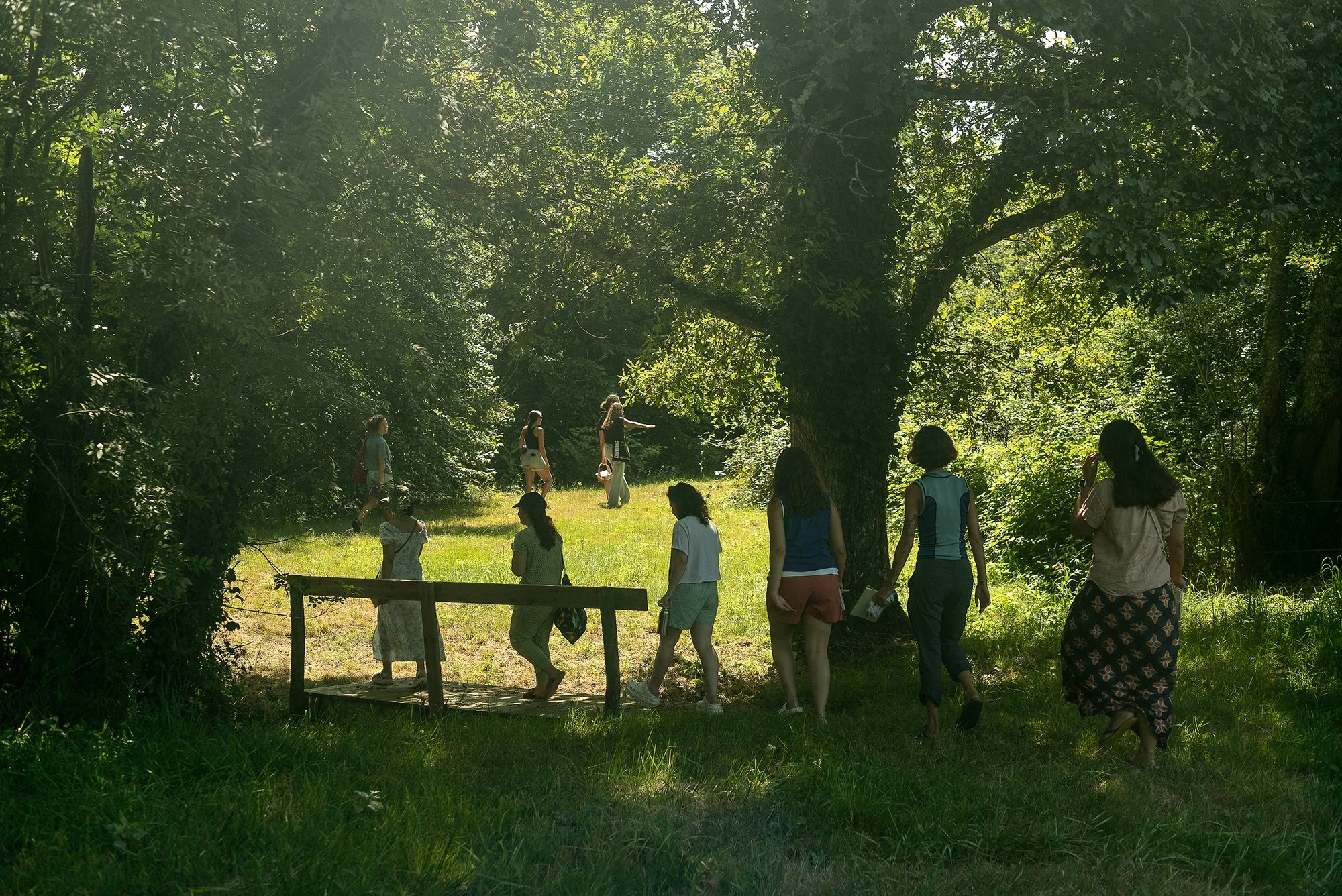 Landscape Cooking, field work documentation